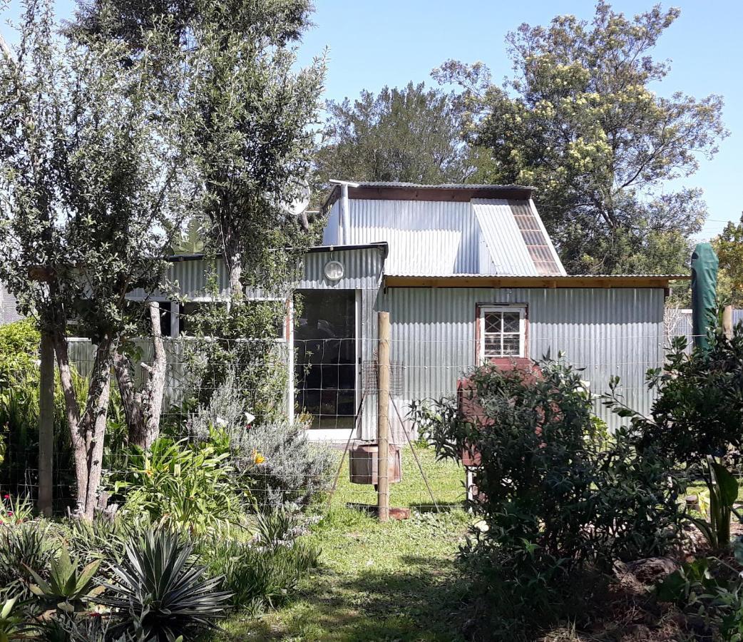 Storms River Tin House Stormsrivier Exterior foto